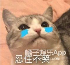 赵丽颖王一博录节目蓝色吊带上衣,赵丽颖王一博快本对视说话