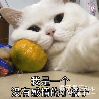 赵丽颖王一博录节目蓝色吊带上衣,赵丽颖王一博快本对视说话