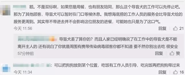 海底捞拒绝导盲犬进入,合肥海底捞导盲犬事件