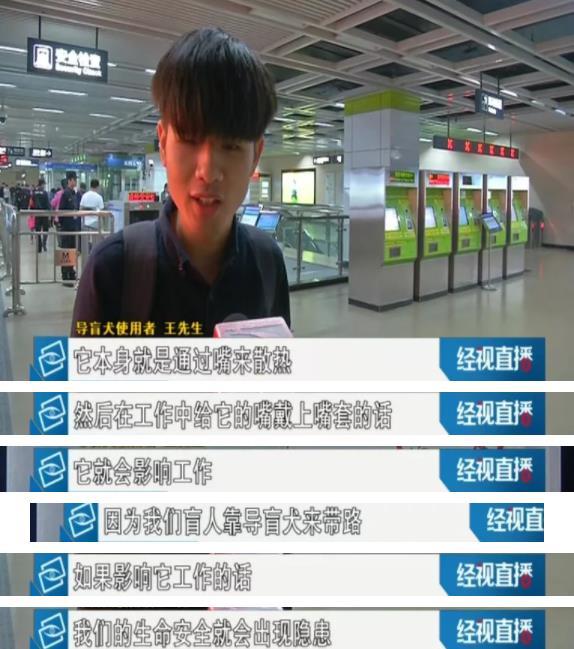 海底捞拒绝导盲犬进入,合肥海底捞导盲犬事件