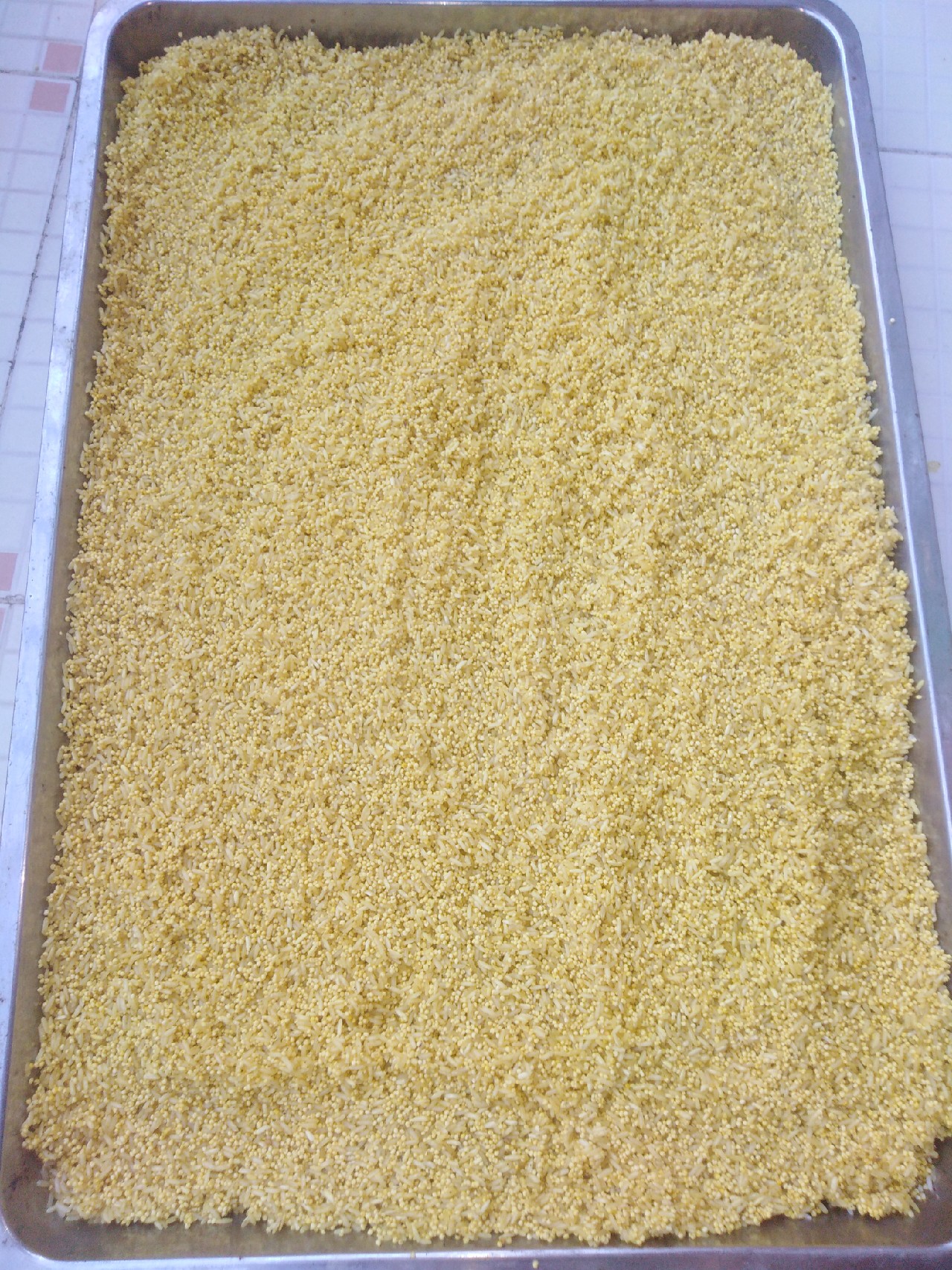 酒米鲫鱼窝料的自制配方视频,鲫鱼酒米窝料自制配方