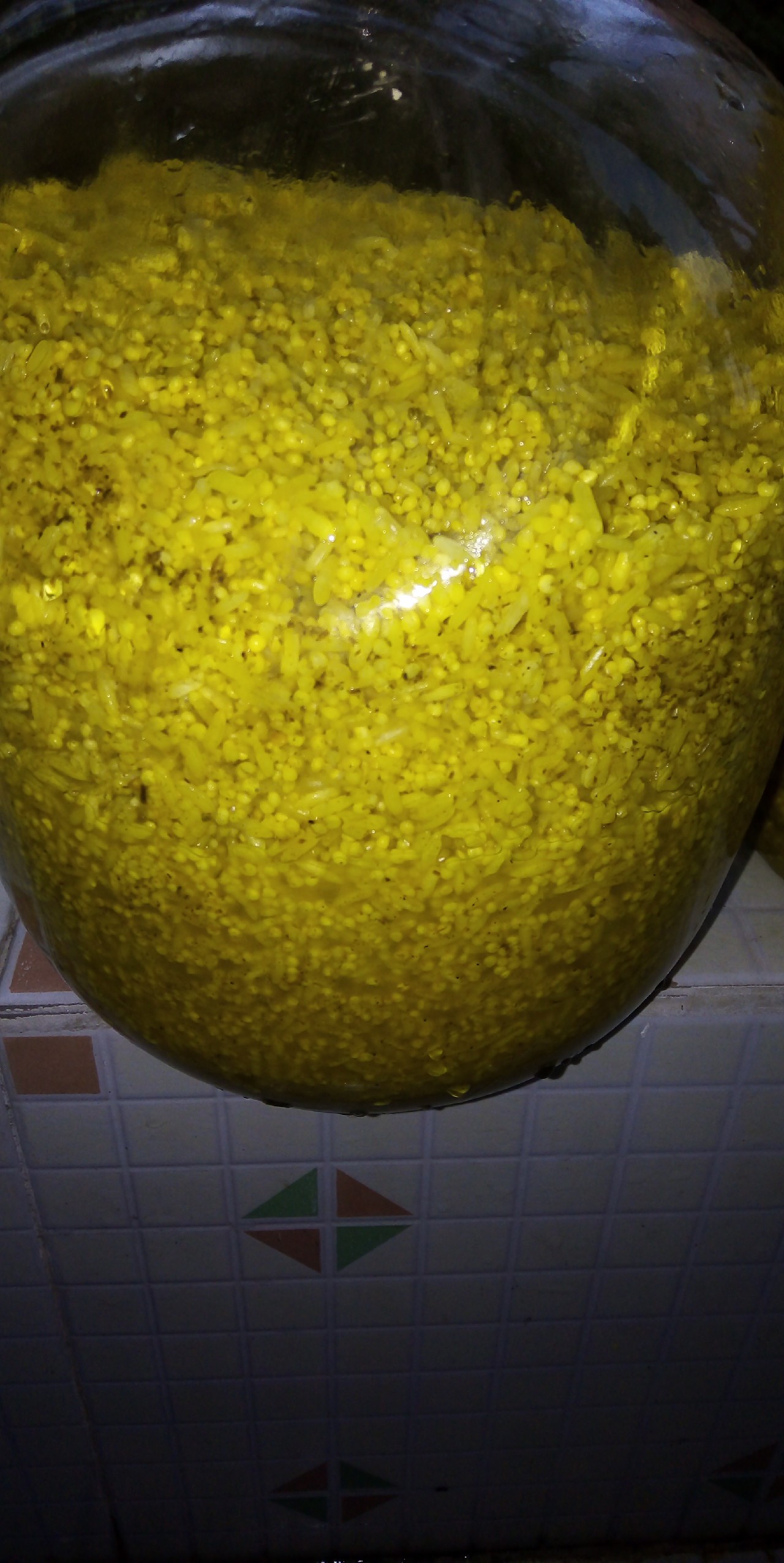 酒米鲫鱼窝料的自制配方视频,鲫鱼酒米窝料自制配方