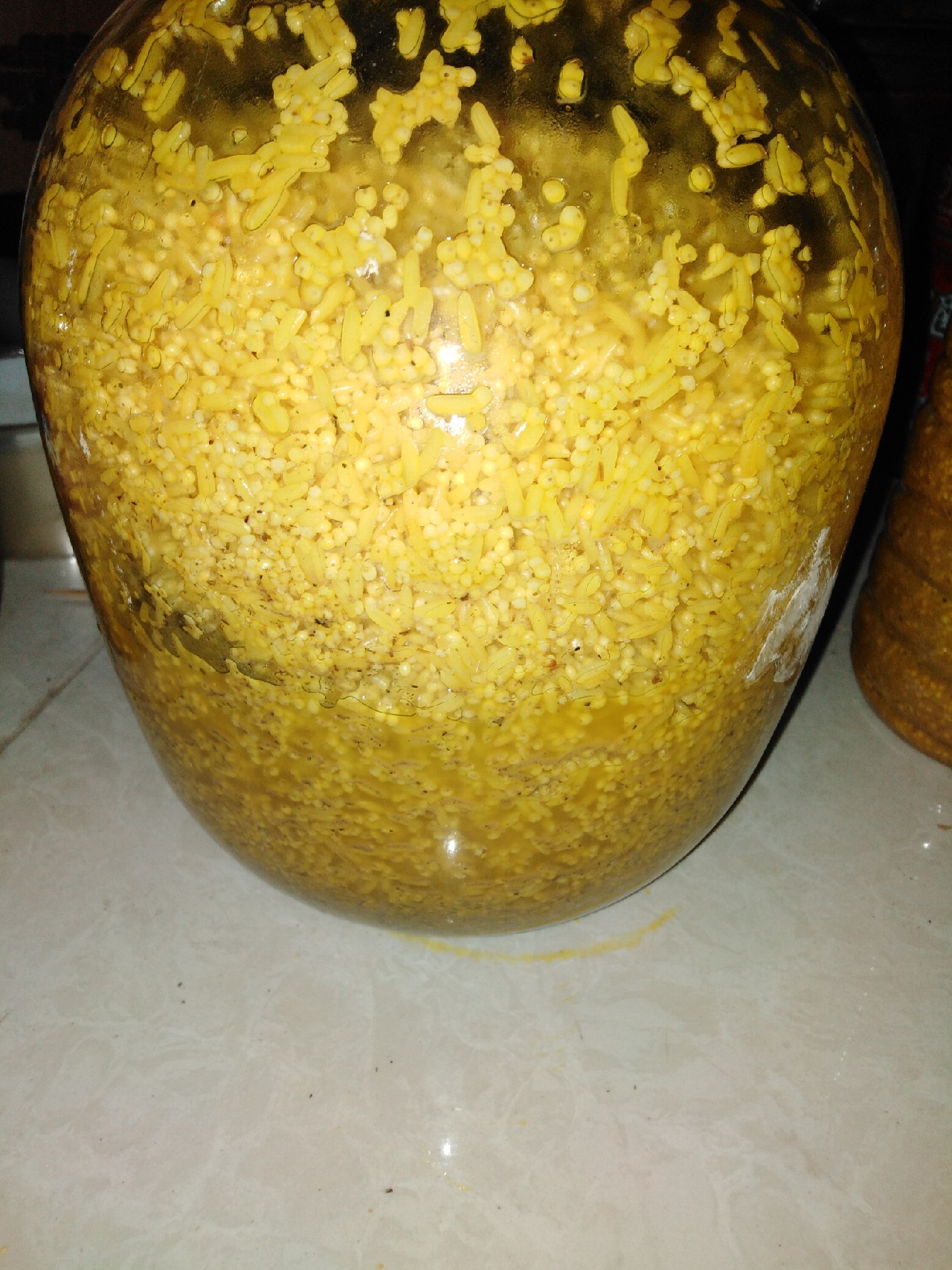 酒米鲫鱼窝料的自制配方视频,鲫鱼酒米窝料自制配方