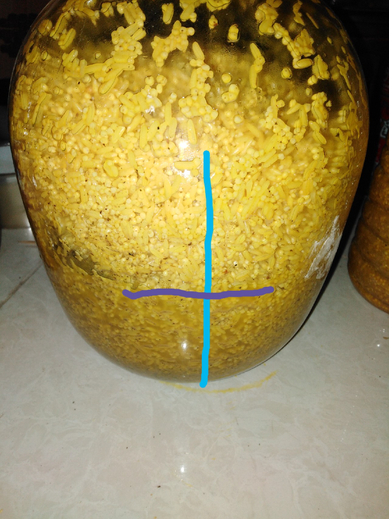 酒米鲫鱼窝料的自制配方视频,鲫鱼酒米窝料自制配方