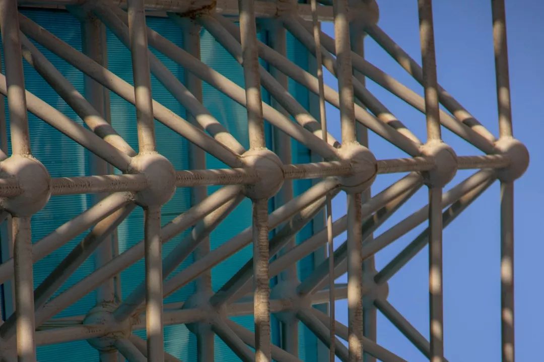 这还是我认识的相机吗,这还是我认识的二哈吗