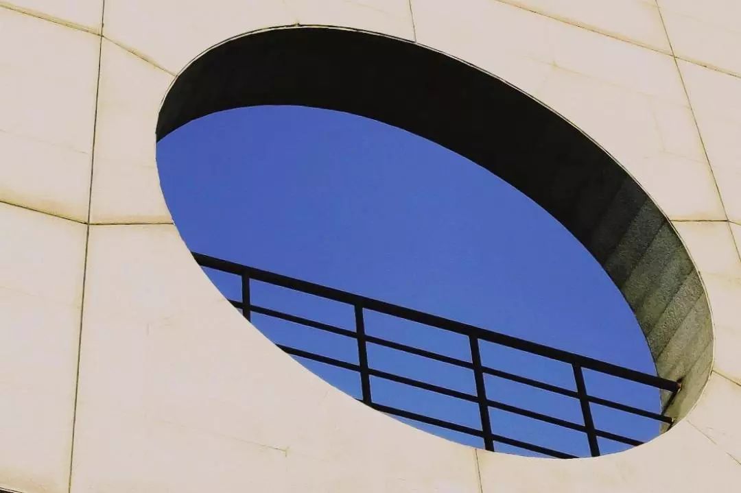 这还是我认识的相机吗,这还是我认识的二哈吗