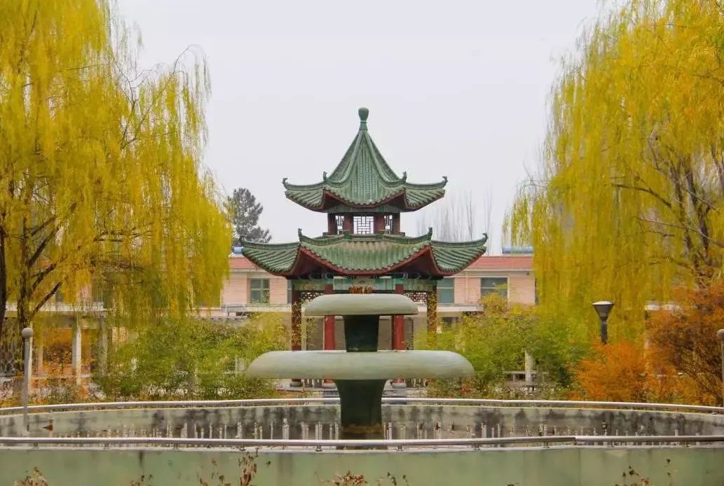 这还是我认识的相机吗,这还是我认识的二哈吗