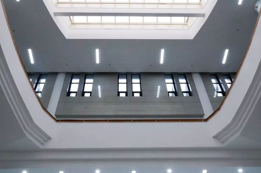 这还是我认识的相机吗,这还是我认识的二哈吗