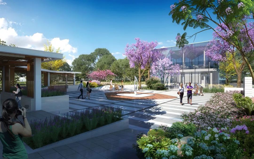 区委书记对街道发展成效的评述,街道书记专访