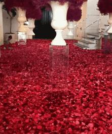 这些名流明星办的派对,也太惊人了吧