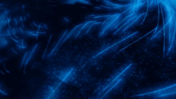 这些名流明星办的派对,也太惊人了吧