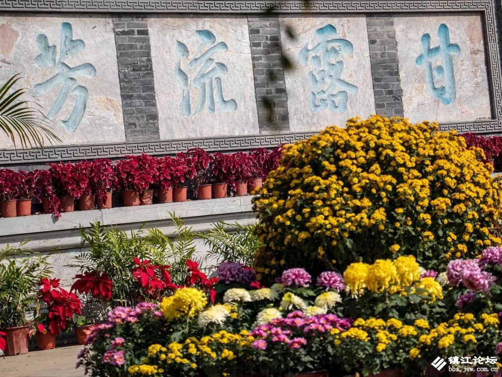 过年去镇江一日游去哪里好,镇江过年去哪儿旅游合适