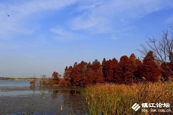 过年去镇江一日游去哪里好,镇江过年去哪儿旅游合适