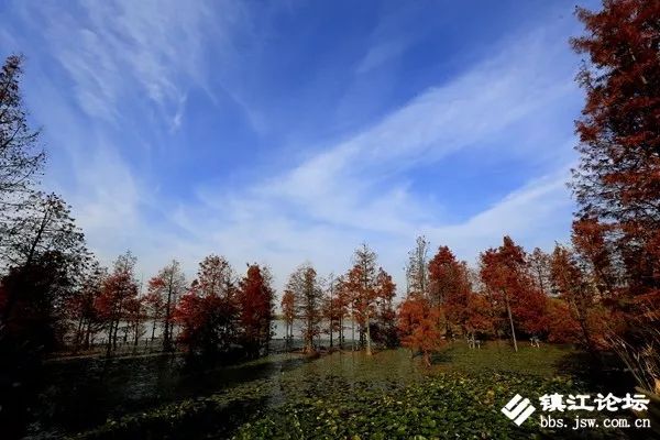 过年去镇江一日游去哪里好,镇江过年去哪儿旅游合适