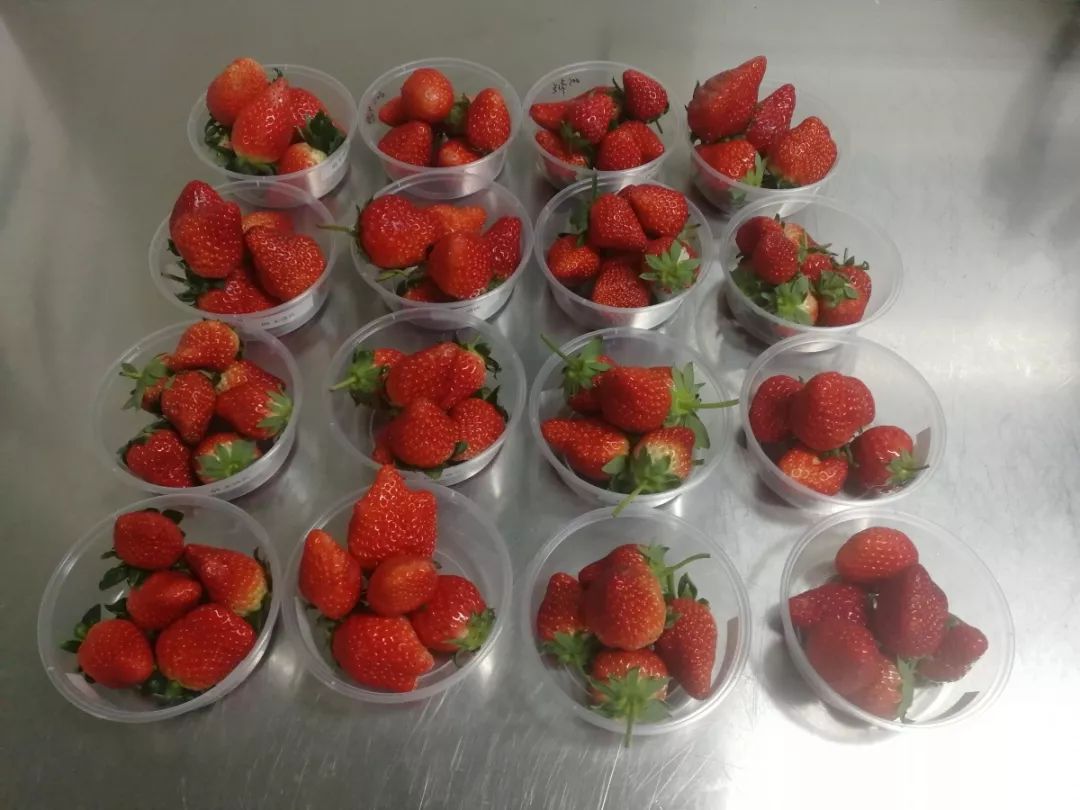 洗草莓怎么洗才能洗干净,草莓用什么洗能洗干净