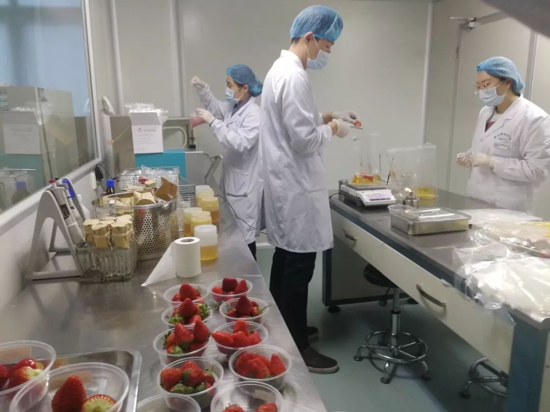 洗草莓怎么洗才能洗干净,草莓用什么洗能洗干净