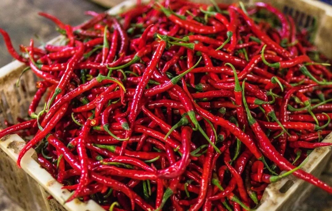 空腹可以吃饭吗下一句怎么接,空腹可以吃饭吗什么梗