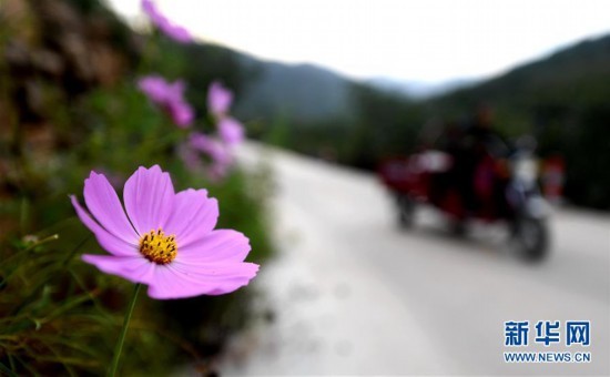 娑夊幙鍚庢睜鎰氬叕绉诲北鍥剧墖,澶灞卞尯鑴辫传鏀诲潥鏁呬簨