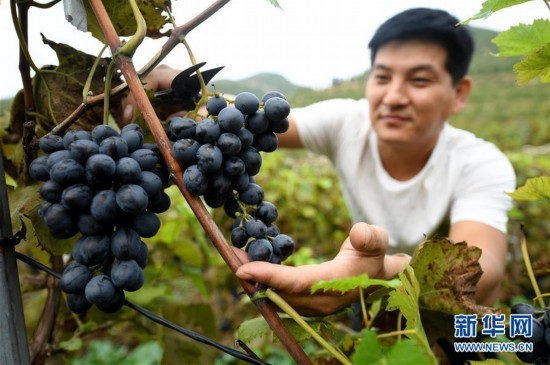 娑夊幙鍚庢睜鎰氬叕绉诲北鍥剧墖,澶灞卞尯鑴辫传鏀诲潥鏁呬簨