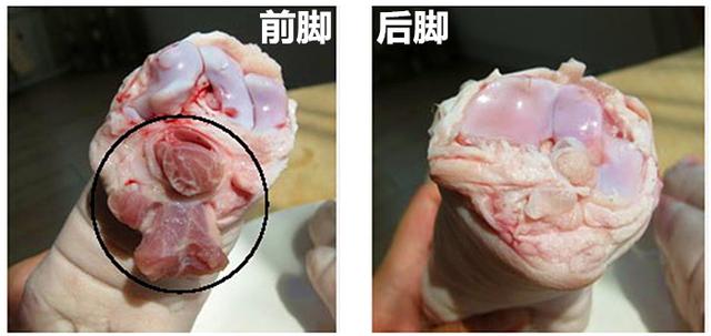买猪蹄是前蹄好还是后蹄好,猪蹄是买前蹄好还是后蹄好
