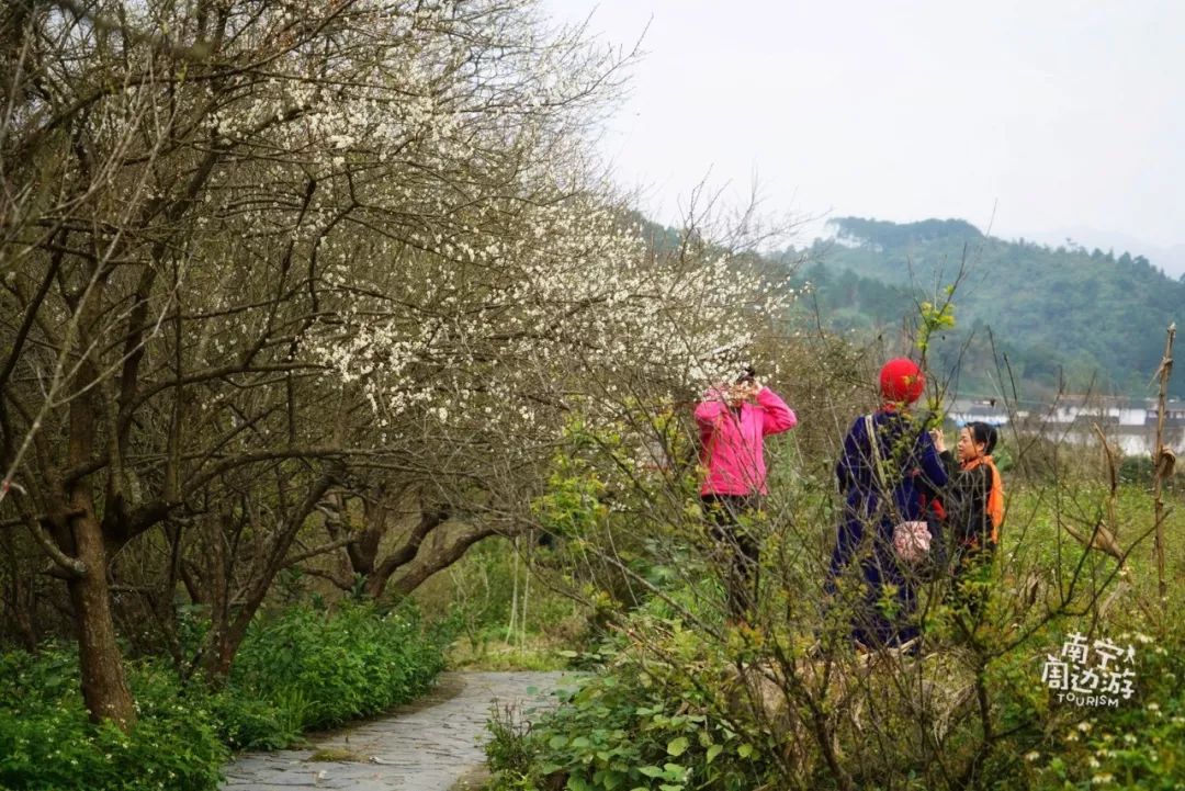 南宁一日游好景点有哪些,南宁一日游最值得去的地方