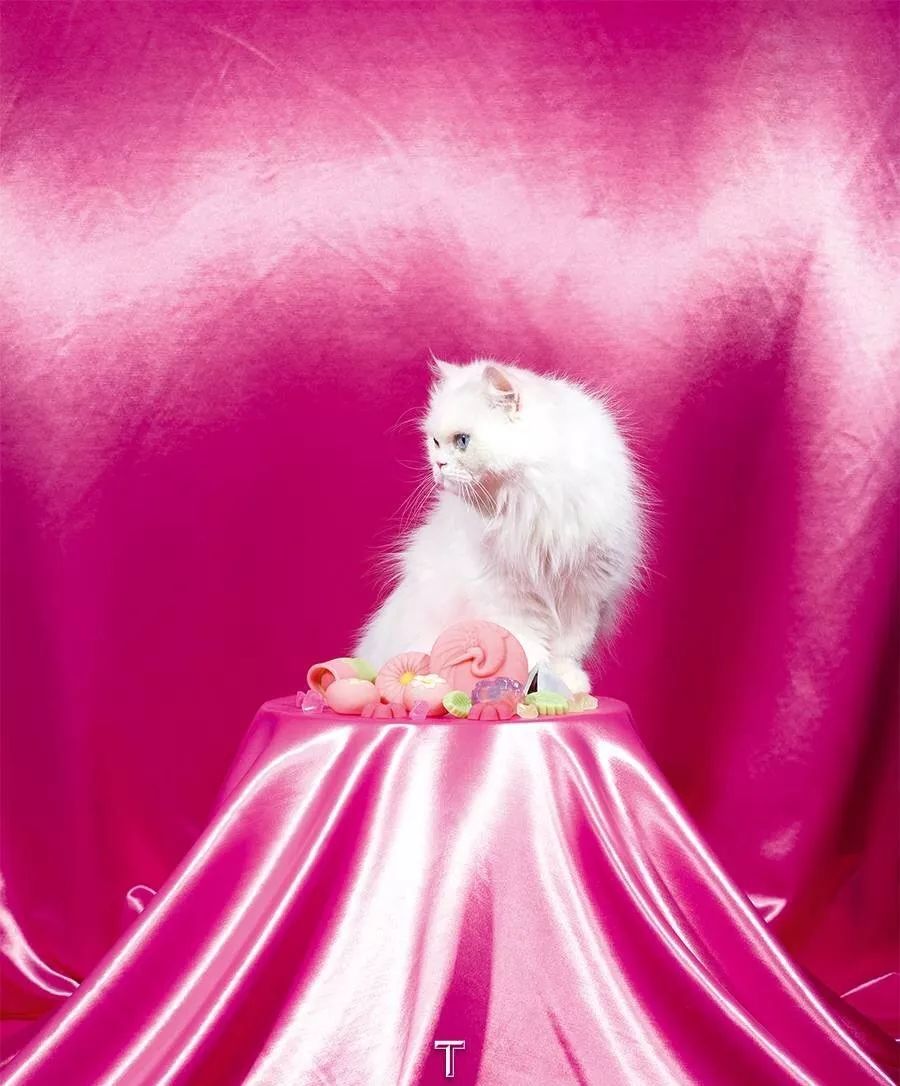 童趣化消费,童趣对于成人的意义