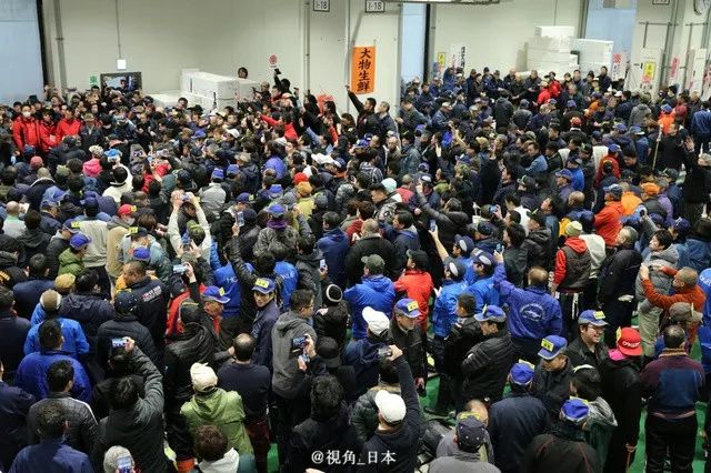 戈恩逃跑路线查明坐新干线到大阪出逃半年的水豚被捉一条金枪鱼1.9亿