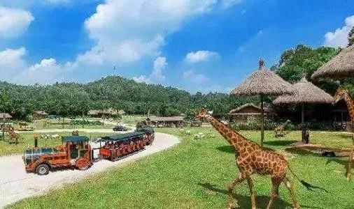 河南最大的动物园在哪里,河南野生动物园规划