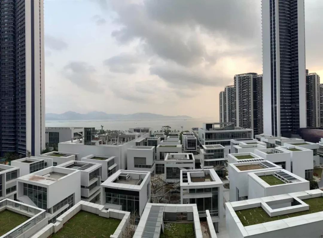 经典！实话实说：错过半4，再想买深圳湾太难了