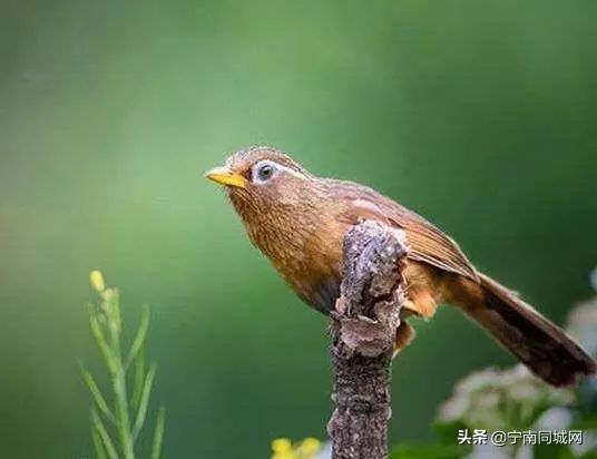 宁南，一座自然景观绽放的魅力小城