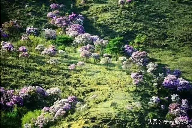 宁南，一座自然景观绽放的魅力小城