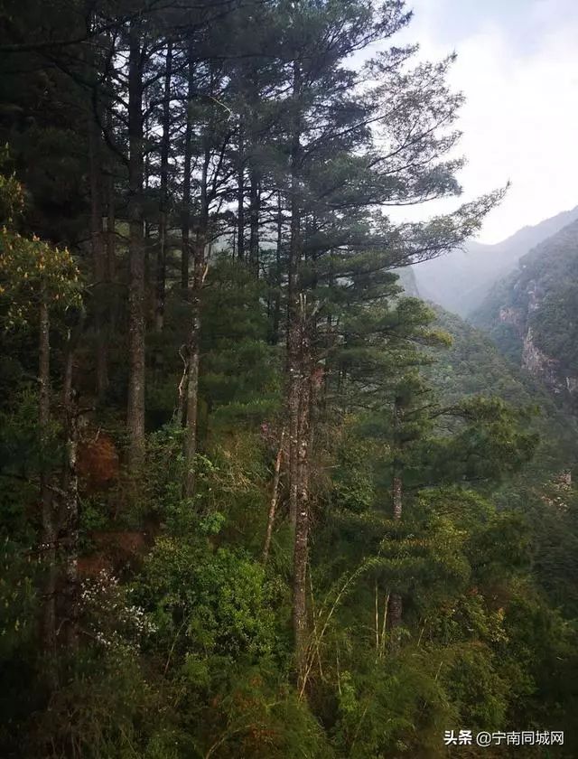 宁南，一座自然景观绽放的魅力小城