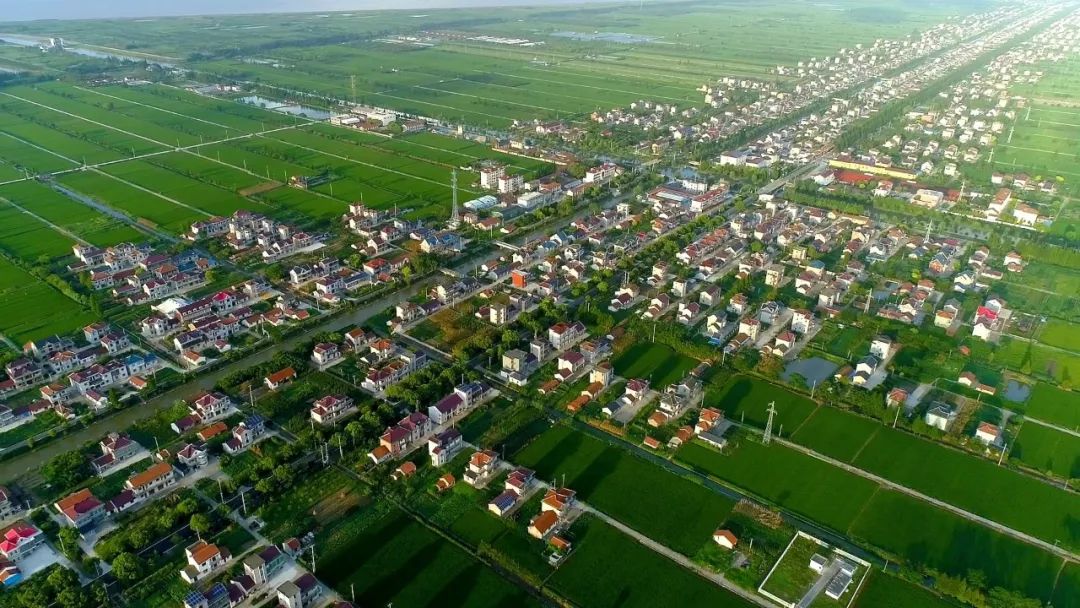 阿拉一道来|新村乡:“5分钟服务圈”打造农村垃圾分类新模式