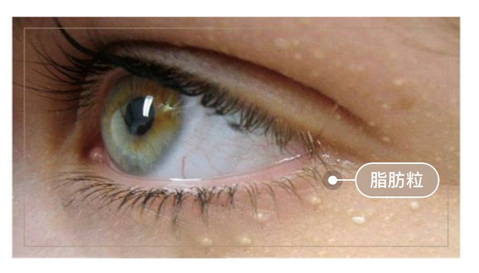 空管了30支眼霜，才知道这款是真的捡了宝