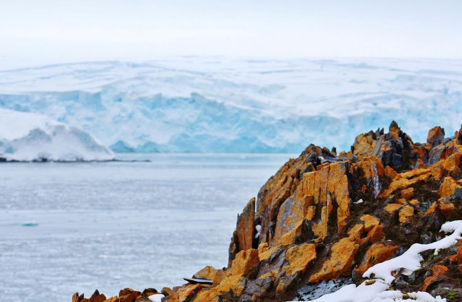 植物过冬用保温棉,冬季房屋防寒小妙招