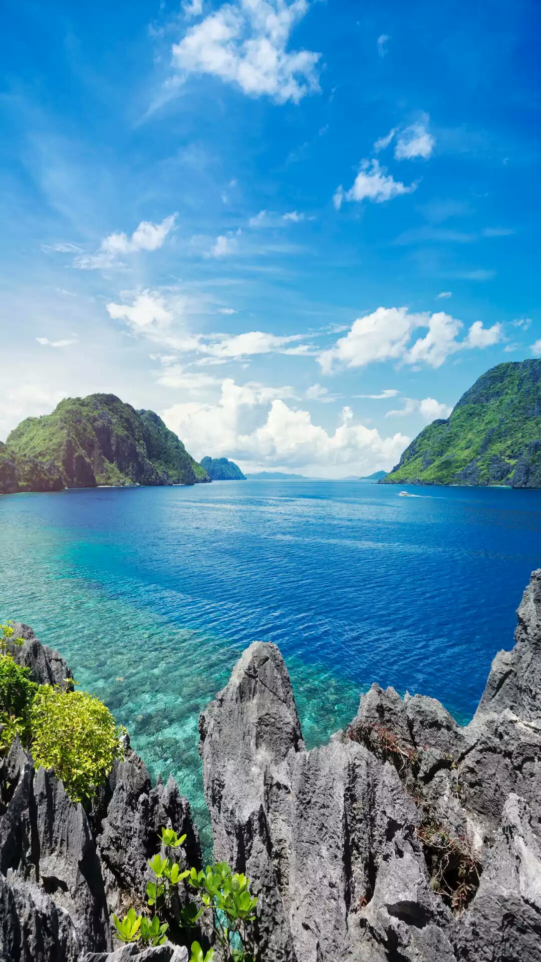 野钓运气爆棚,野钓钓到了1000斤大鱼