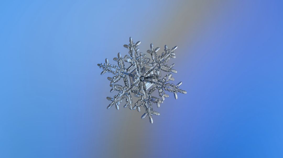 感受冬日的浪漫与唯美,冬日浪漫素材