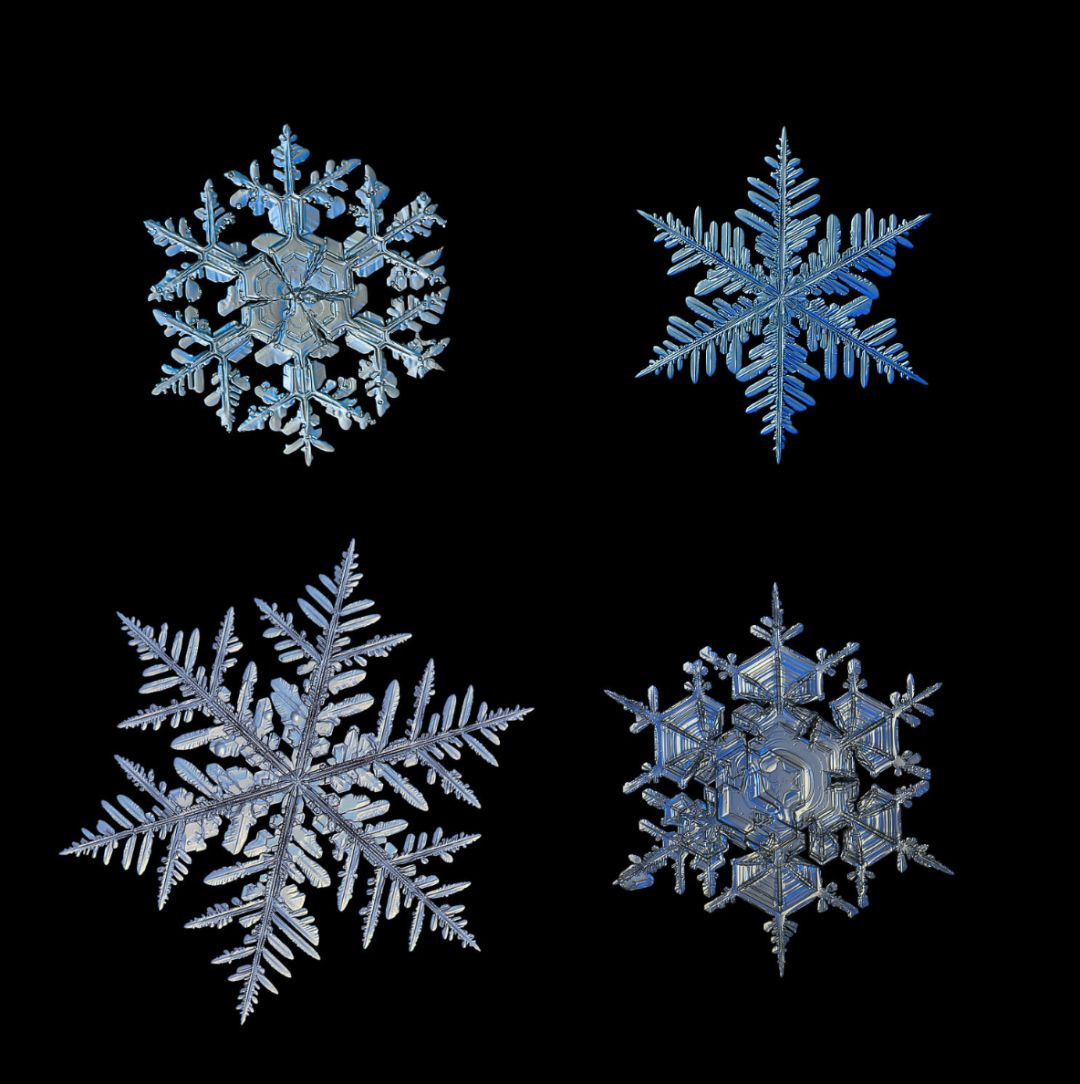 感受冬日的浪漫与唯美,冬日浪漫素材