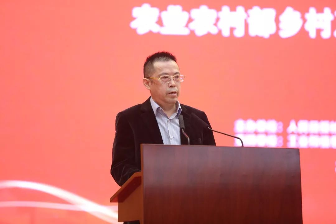 猪肉在春节前的价格是跌还是涨呢,深度解析猪肉涨价