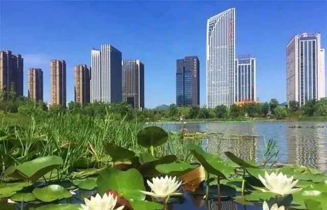 说真的，永远不要低估一个绍兴人！