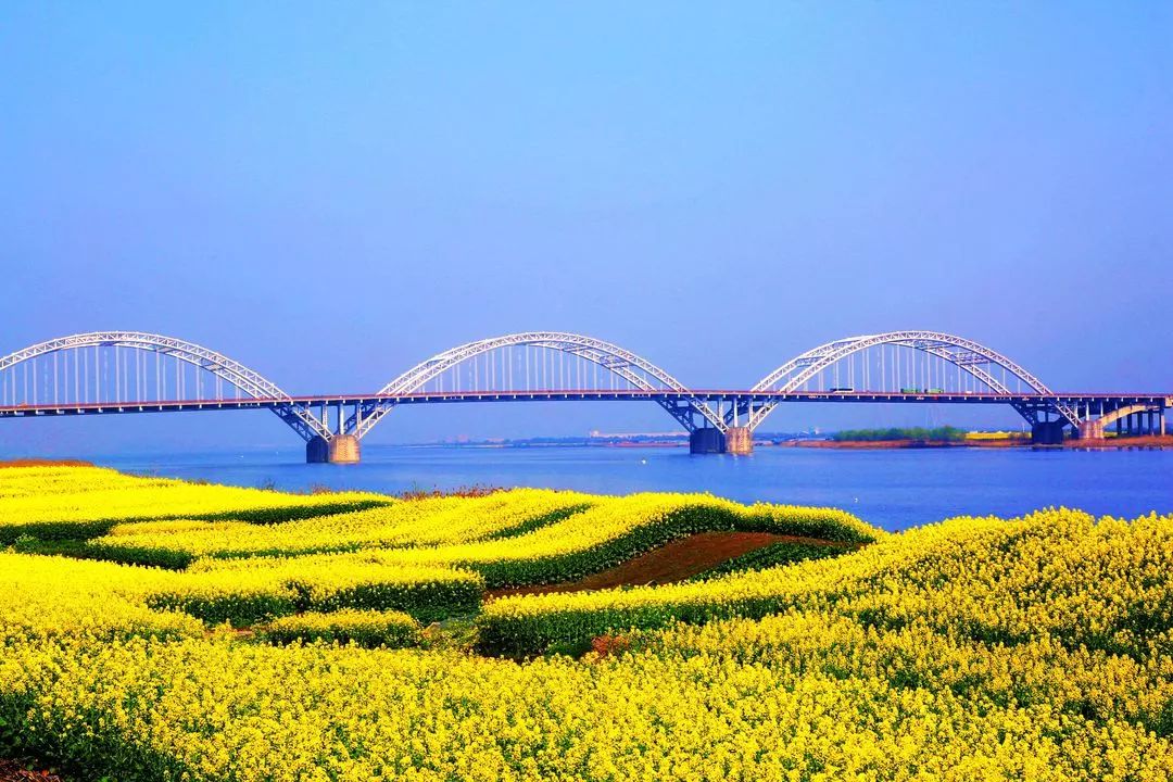 说真的，永远不要低估一个绍兴人！