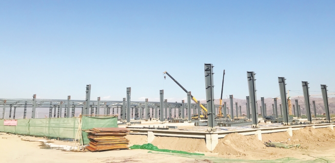 明胶的发展历史,明胶发展趋势