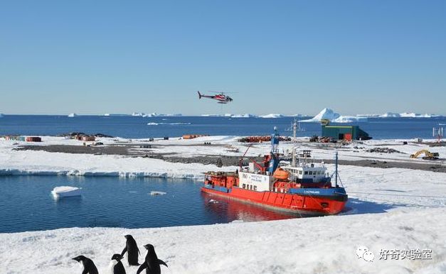 指南针指向哪才是南,指南针的红色指针指向南还是北