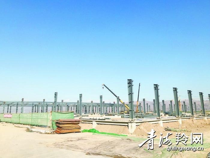 明胶发展趋势,明胶行业发展现状