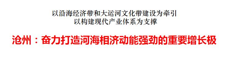 心潮澎湃!沧州奋力打造河海相济动能强劲的重要增长极