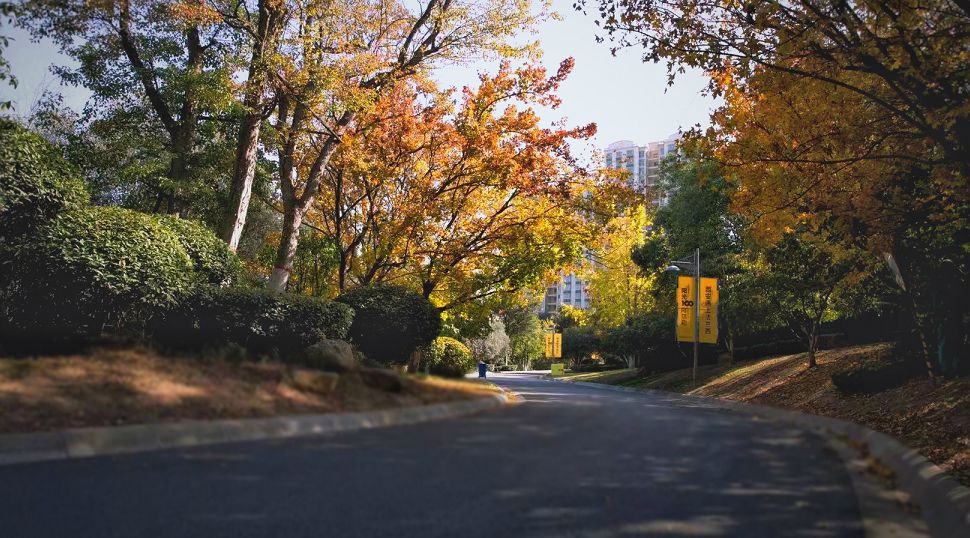 浐灞曾经红极一时的楼盘,浐灞红盘