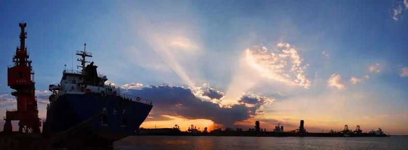 心潮澎湃!沧州奋力打造河海相济动能强劲的重要增长极