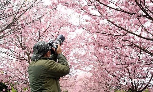 数九严寒最冷三九,三九最冷有多少度