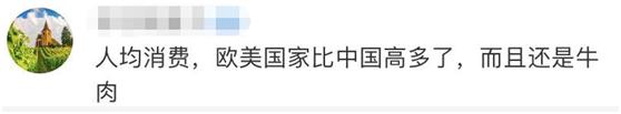 中国人吃一块肉,中国人吃肉对亚马逊雨林有影响