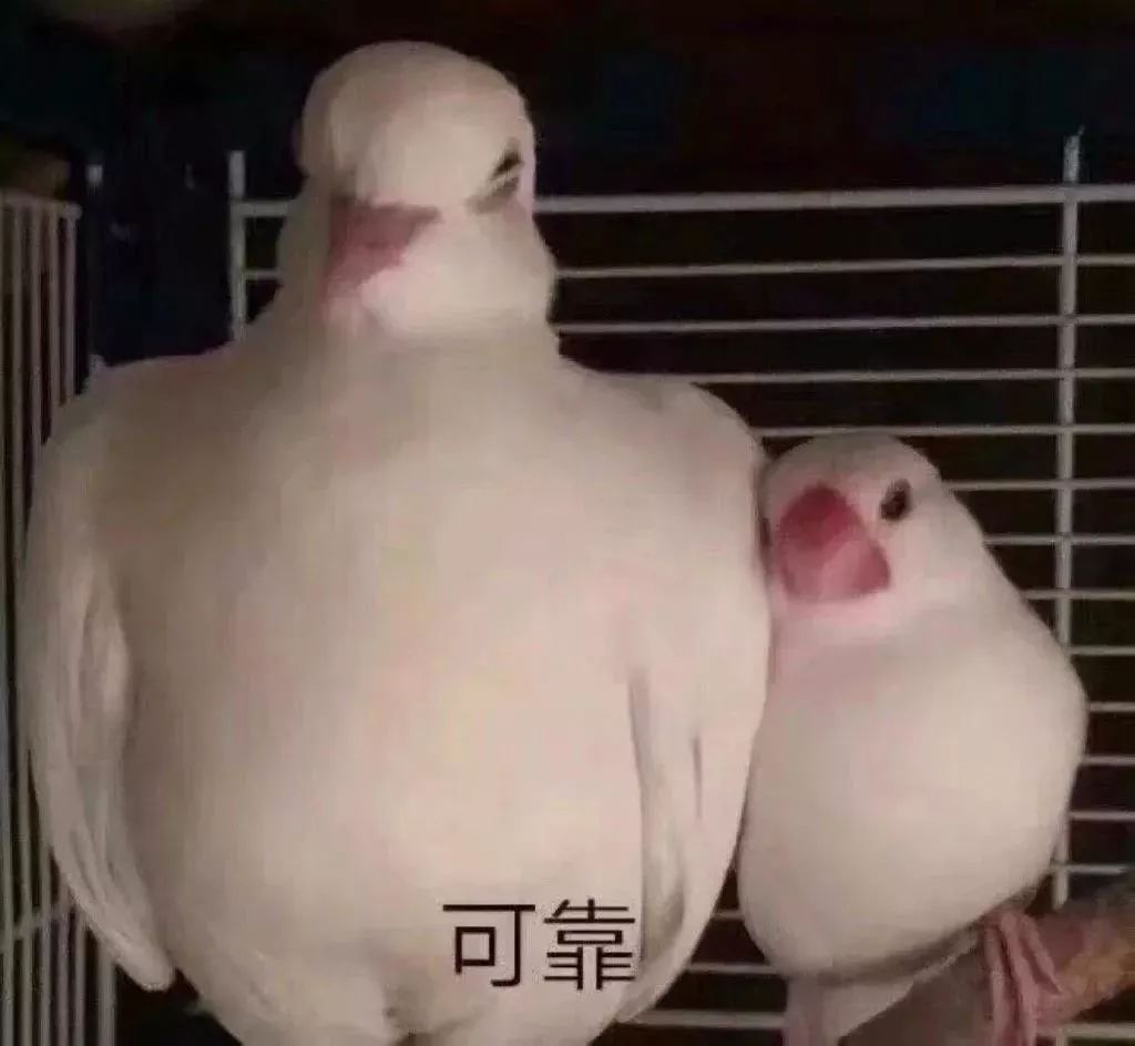 试管姐妹们最关心的几个问题,做试管的姐妹们一路走来太不容易